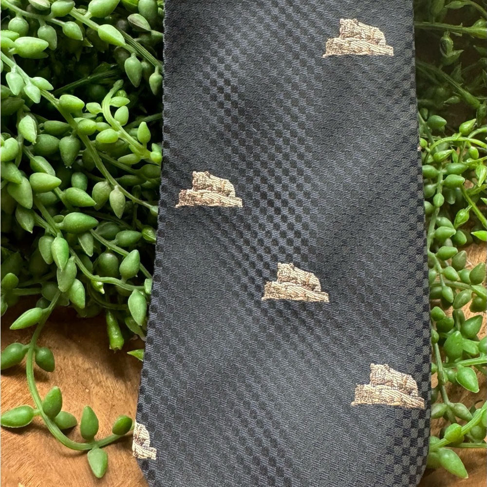 London 400 tie by Cambridge Apparel - Bear on a rock